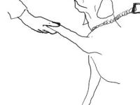 Müll wählen verboten